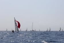 Regata Internazionale Open Contender